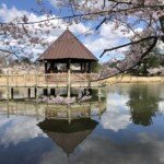 Richard Martin - Water Richard Martin - Water