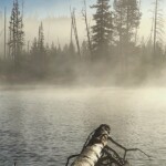 Steve Brown - Water Steve Brown - Water