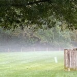 Charlotte Rosenfield2 Charlotte Rosenfield2