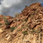 Elizabeth Lonoff1 Elizabeth Lonoff1