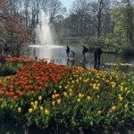 Kathy Dillon - Kuekenhof Gardens Kathy Dillon - Kuekenhof Gardens