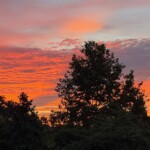 Mike Hamilton2 Mike Hamilton2