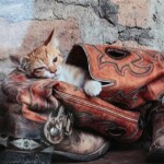 Ray Bednarsky2 Ray Bednarsky2