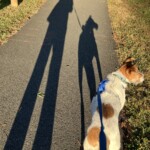 Richard Martin1 Richard Martin1