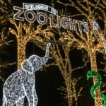 Elizabeth Lonoff - After Dark Elizabeth Lonoff - After Dark